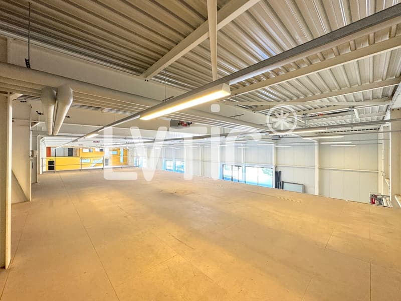 Locali, showrooms, magazzini di 1165 m2 in affitto a Yverdon (8)
