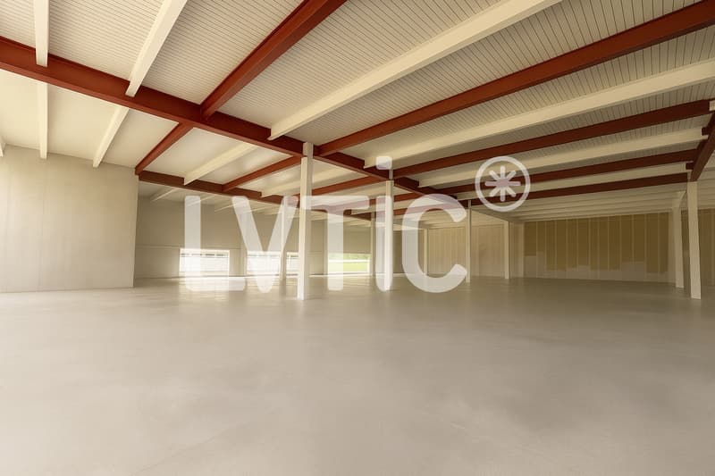 Workshops, warehouses, offices of 1500 m2 divisible for rent in Eclépens (7)