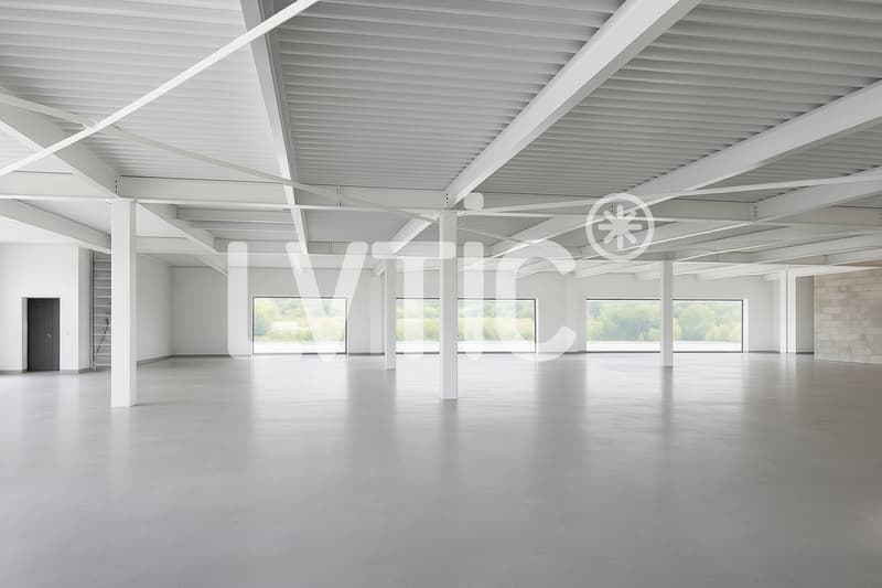 Workshops, warehouses, offices of 1500 m2 divisible for rent in Eclépens (3)