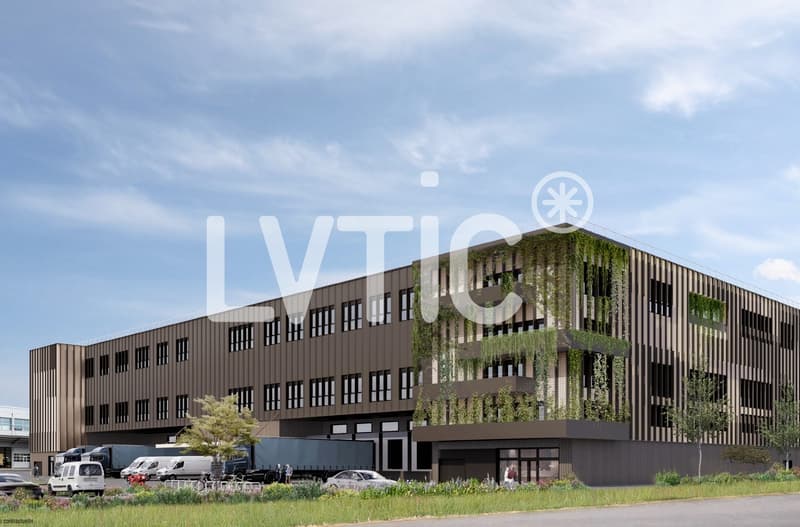 Workshops, warehouses, offices of 1500 m2 divisible for rent in Eclépens (9)