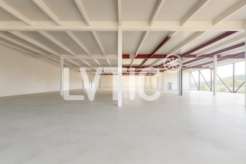 Workshops, warehouses, offices of 1500 m2 divisible for rent in Eclépens (8)