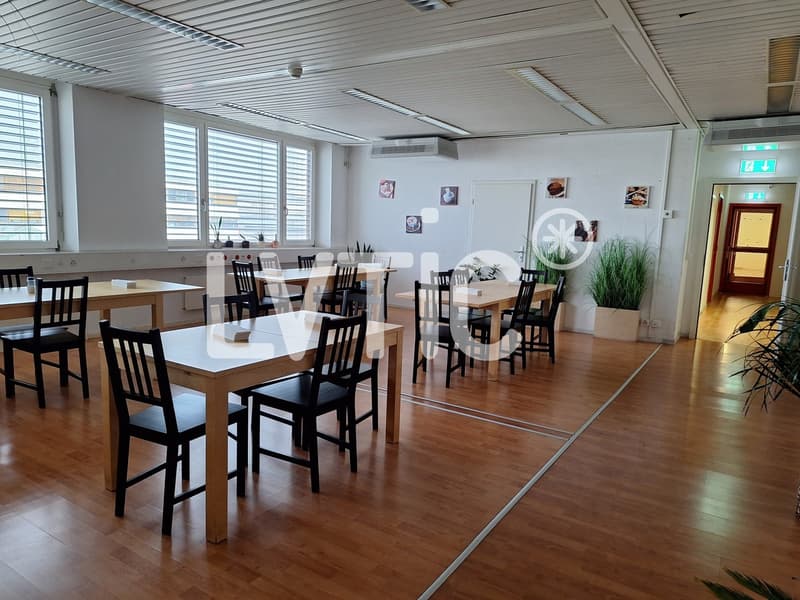 Depositio di 4000 m2 divisibili già da 2200 m2 in affitto a Meyrin - Satigny (7)