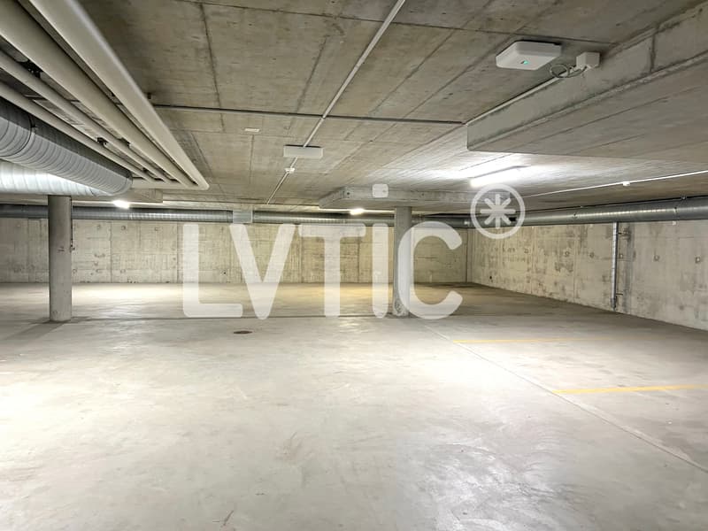 Depositio di 4000 m2 divisibili già da 2200 m2 in affitto a Meyrin - Satigny (8)