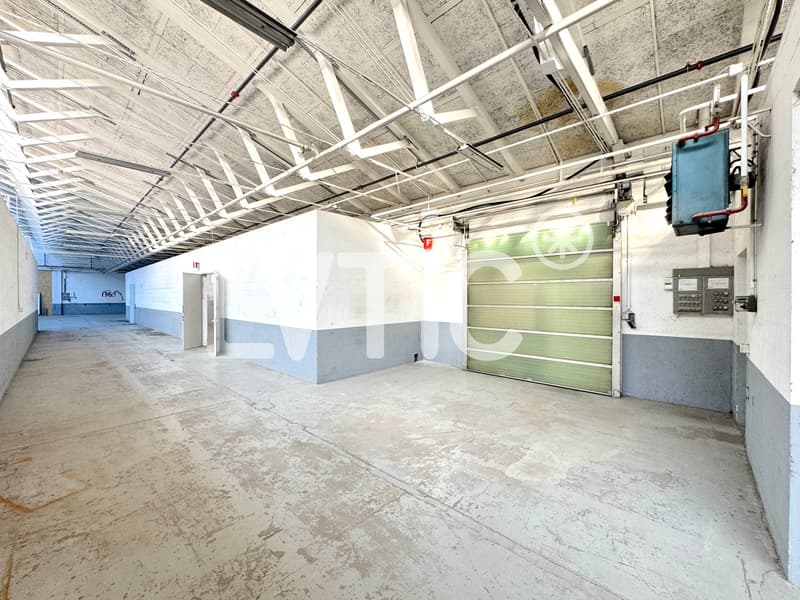 Magazzino di 1'040 m2 in affitto a Meyrin (4)