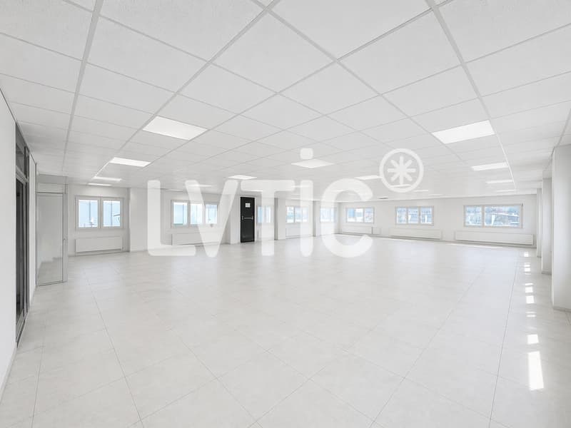 Büroflächen, 230 m2 und Terrasse 70 m2 zur Miete in Yverdon (2)