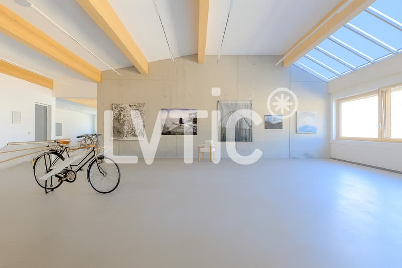Offices, premises of 600 m2 divisible from 300 m2 for rent in Martigny (2)
