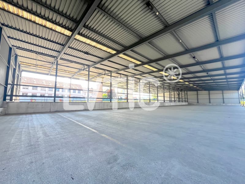Hallen für Lagerung von 12'000 m2, aufteilbar ab 1000 m2, zu vermieten in St Prex (9)