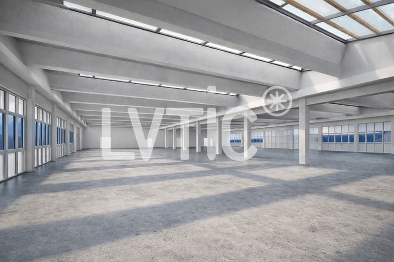Capannone industriale e uffici di 1475 m2 in affitto ad Avenches (1)
