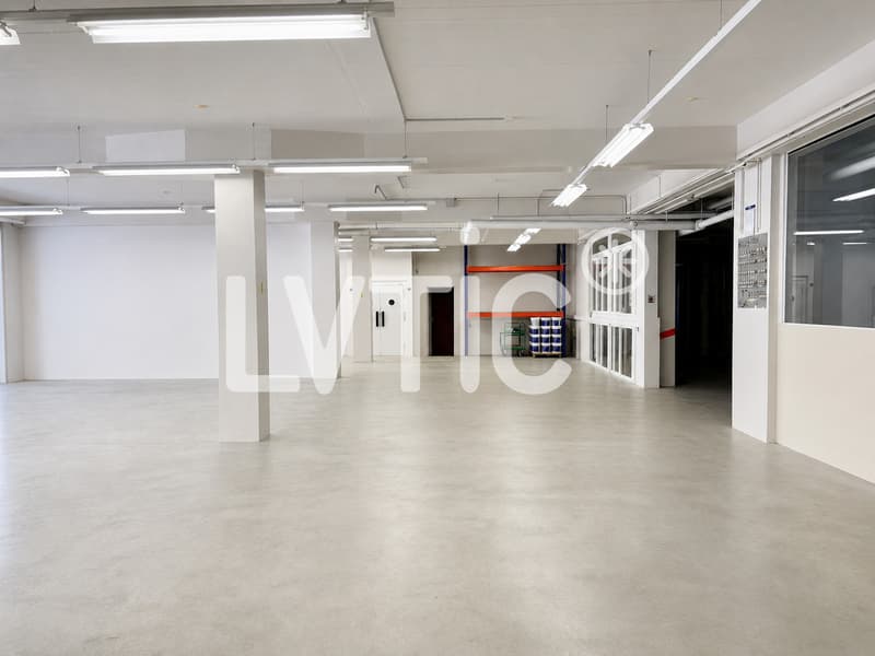 Ateliers, dépôts de 750 m2 à louer à Renens (2)