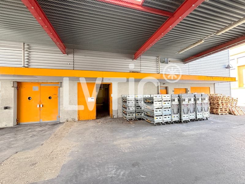 Ateliers, dépôts de 750 m2 à louer à Renens (4)