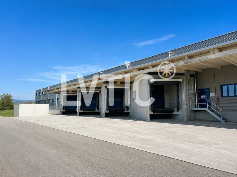 Halle logistique et bureaux de 7200 m2 divisibles à louer à Avenches (8)