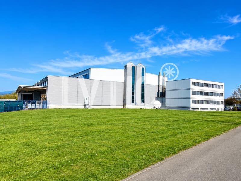 Halle logistique et bureaux de 7200 m2 divisibles à louer à Avenches (4)