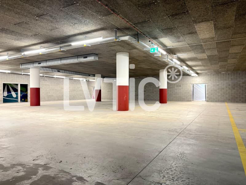 Dépôt de 620 m2 à louer à Bex (6)