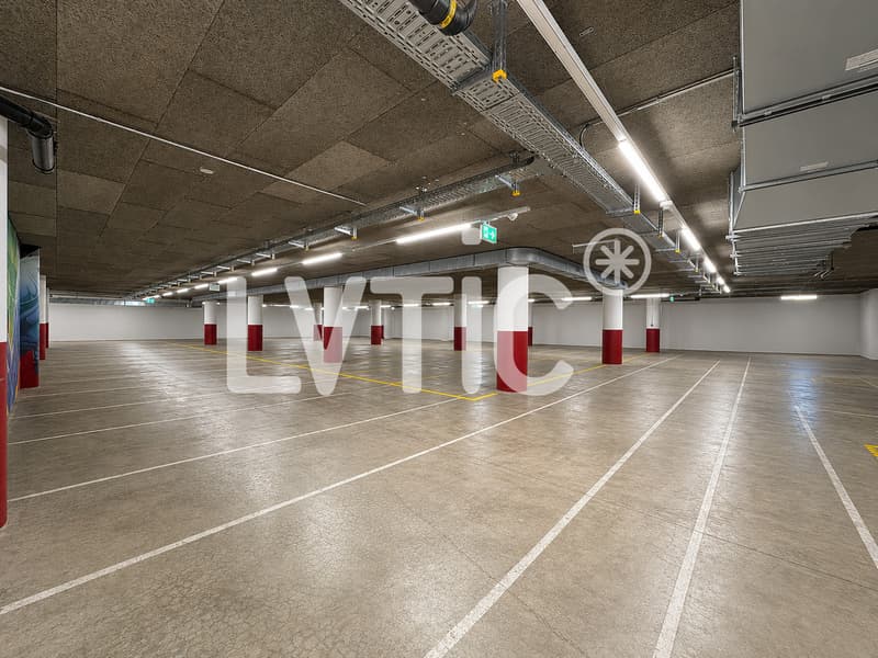 Lagerhallen von 620 m2 zur Miete in Bex (1)