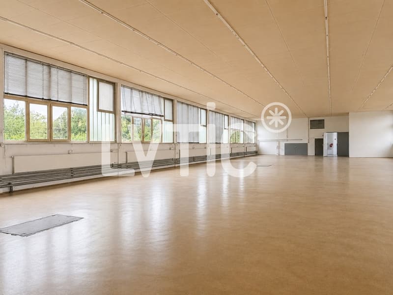 Halle, Lager von 1240 m2 zur Miete in Saint-Sulpice (2)