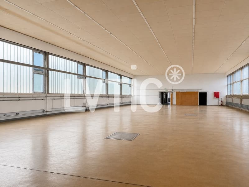 Halle, Lager von 1240 m2 zur Miete in Saint-Sulpice (3)