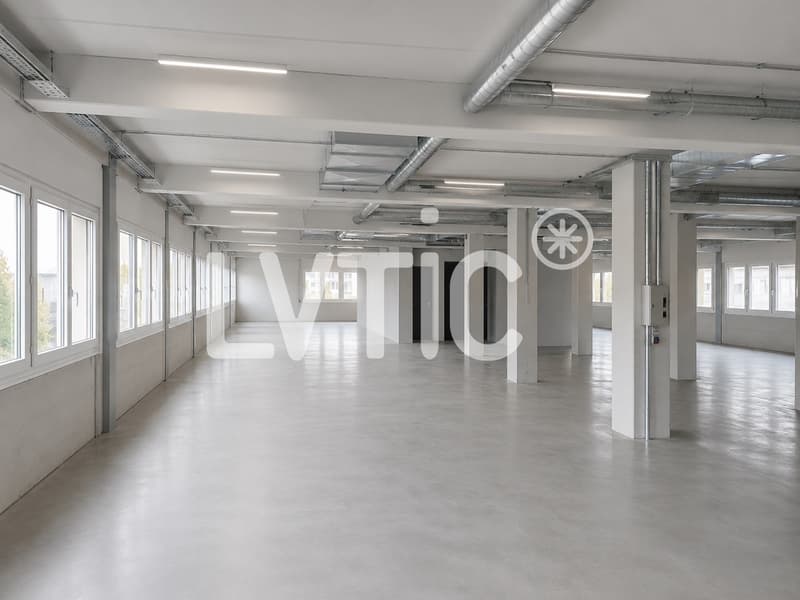 Industriegebäude von 3980 m2, aufteilbar, zur Miete in Mont-sur-Lausanne (4)