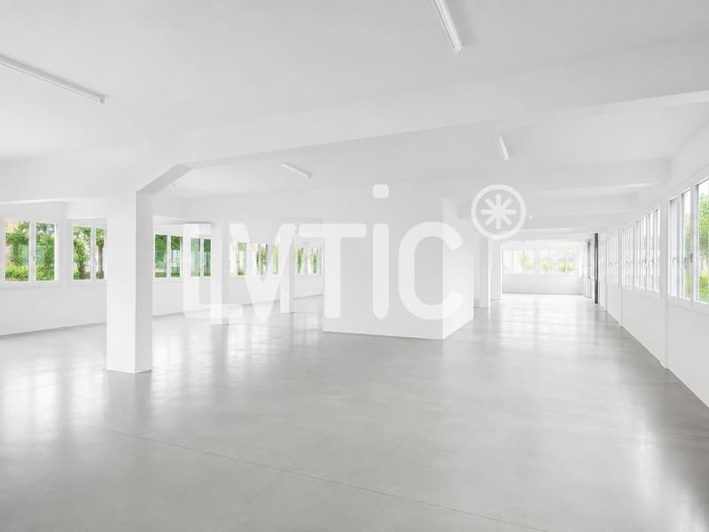 Industriegebäude von 3980 m2, aufteilbar, zur Miete in Mont-sur-Lausanne (3)