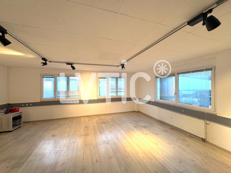 Werkstatt, Lager, Büros von 1500 m2 teilbar zu vermieten in Villeneuve (4)