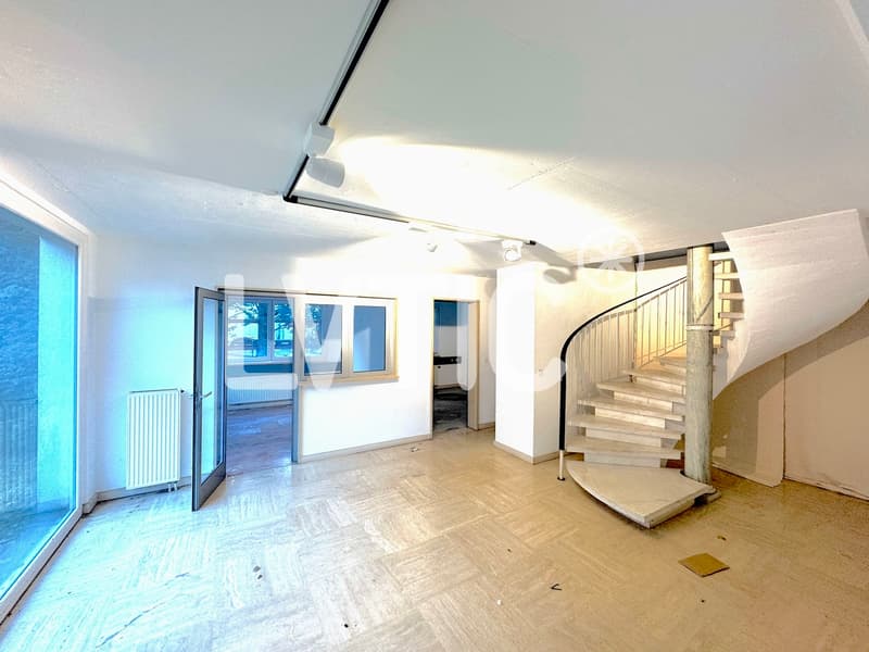 Werkstatt, Lager, Büros von 1500 m2 teilbar zu vermieten in Villeneuve (3)