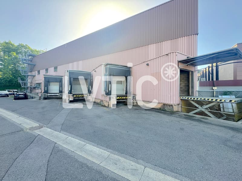 Deposit, office, workshop of 469 m2 for rent in St-Légier (1)