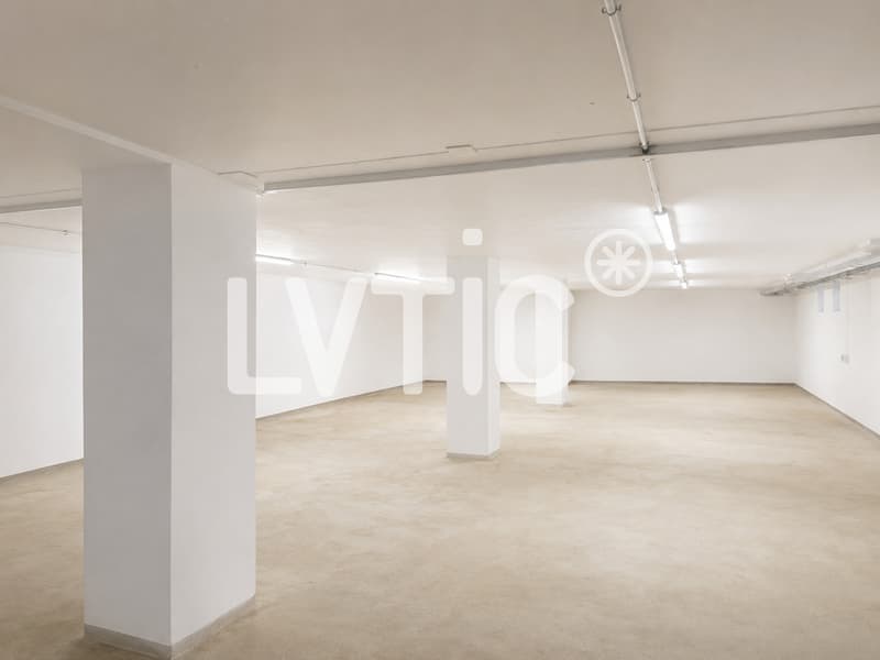 Deposit, office, workshop of 469 m2 for rent in St-Légier (4)