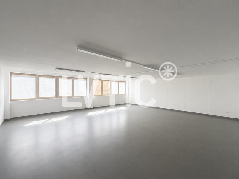 Deposit, office, workshop of 469 m2 for rent in St-Légier (3)