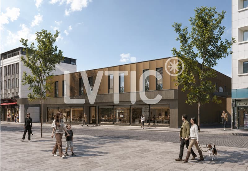 Dépôt de 680 m2 divisibles dès 300 m2 à louer à Martigny (3)