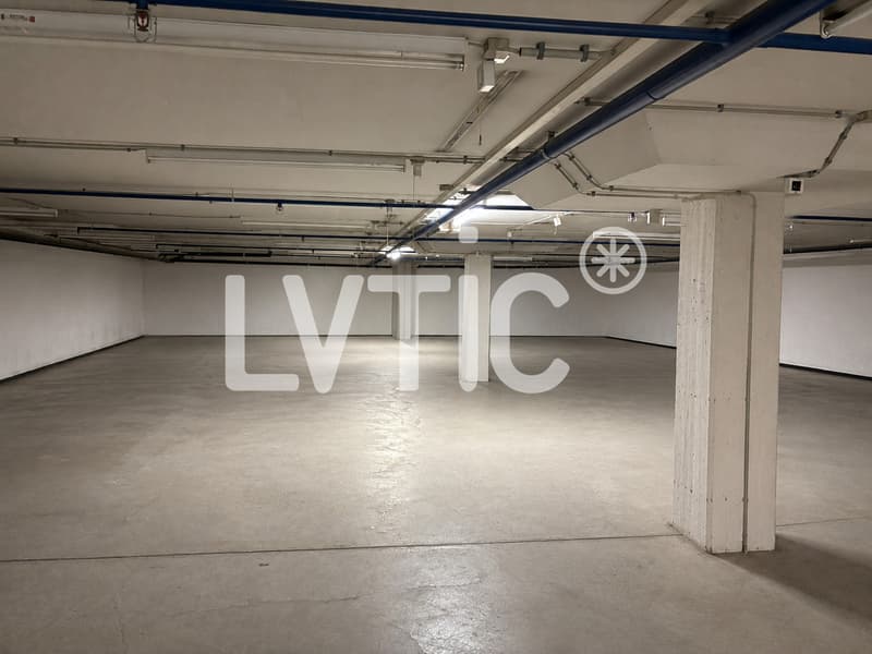 Magazzino di 680 m2, divisibile da 300 m2 in affitto a Martigny (2)