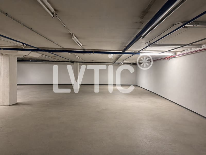Magazzino di 680 m2, divisibile da 300 m2 in affitto a Martigny (1)