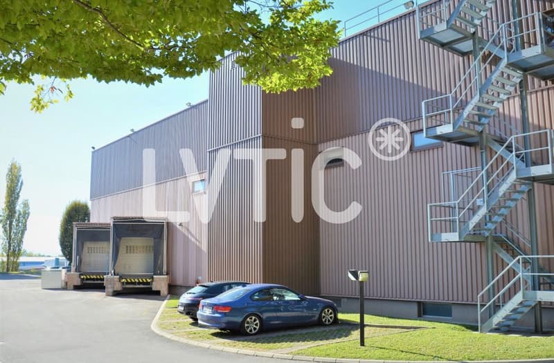 Warehouse of 315 m2 for rent in St-Légier (3)