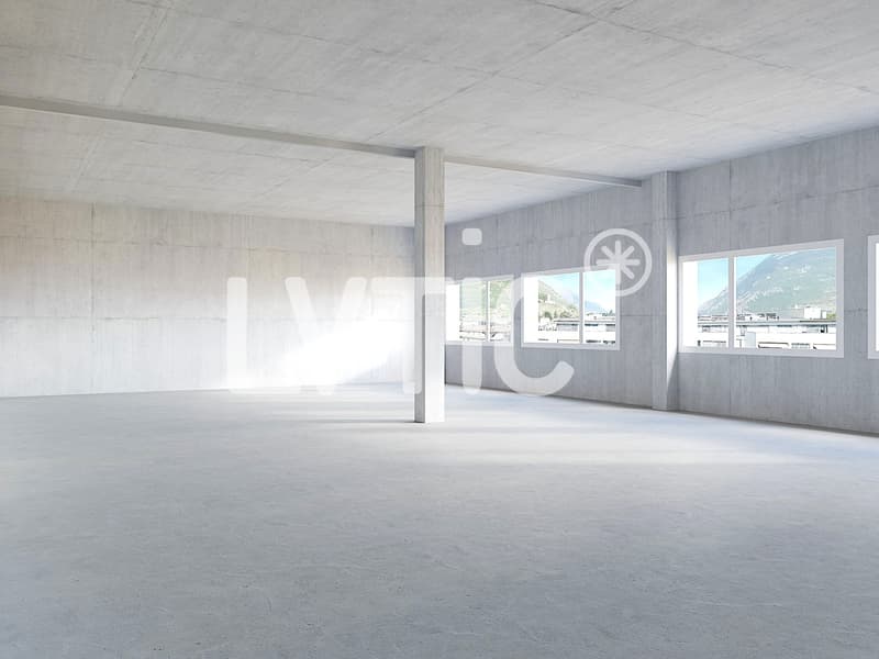 Locaux, cabinets, bureaux de 170 m2 à louer à Martigny (6)