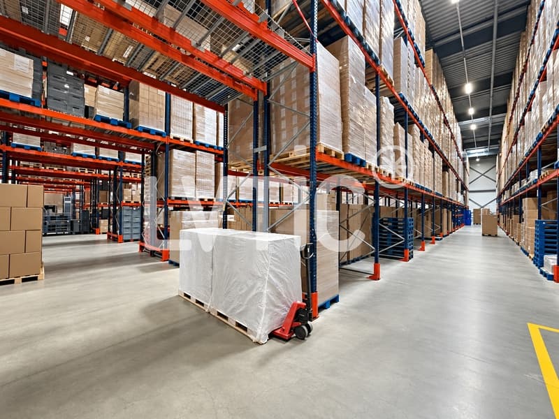 Halle industrielle de 2050 m2 à louer à Châtel-St-Denis (2)