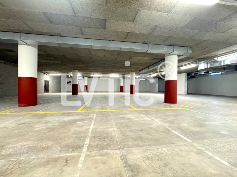Petit bâtiment indépendant de 305 m2 & Dépôt de 620 m2 à louer à Bex (2)
