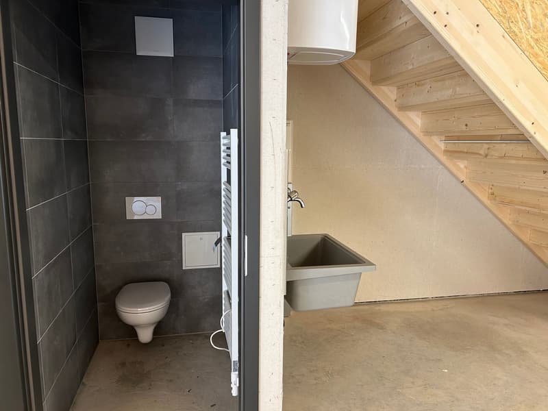 Local/dépôt n° 6 - Ch. de Plans-Praz 32 (6)