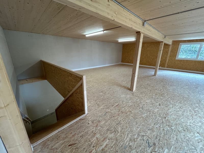 Local/dépôt n° 6 - Ch. de Plans-Praz 32 (9)