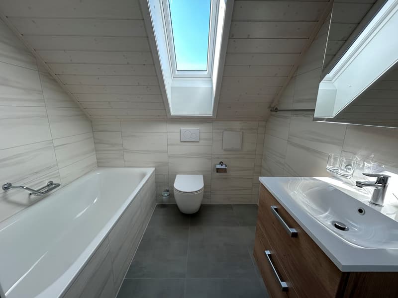modern bathroom with bathtub, toilet, sink, mirror, and a skylight