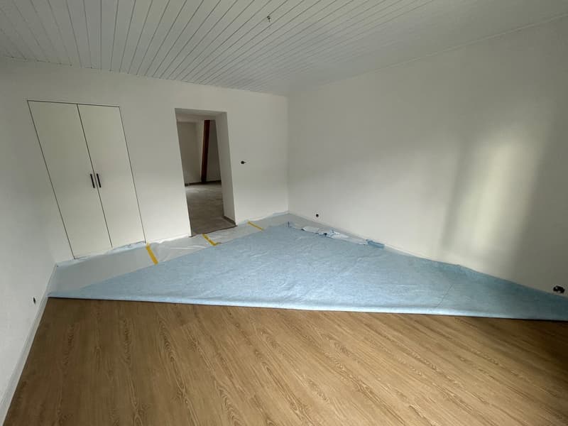Apartment with 3.5 rooms completely renovated (10)