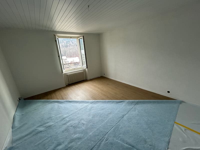 Apartment with 3.5 rooms completely renovated (9)