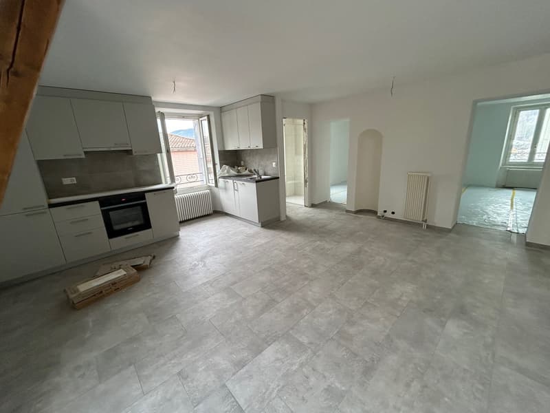 Apartment with 3.5 rooms completely renovated (4)
