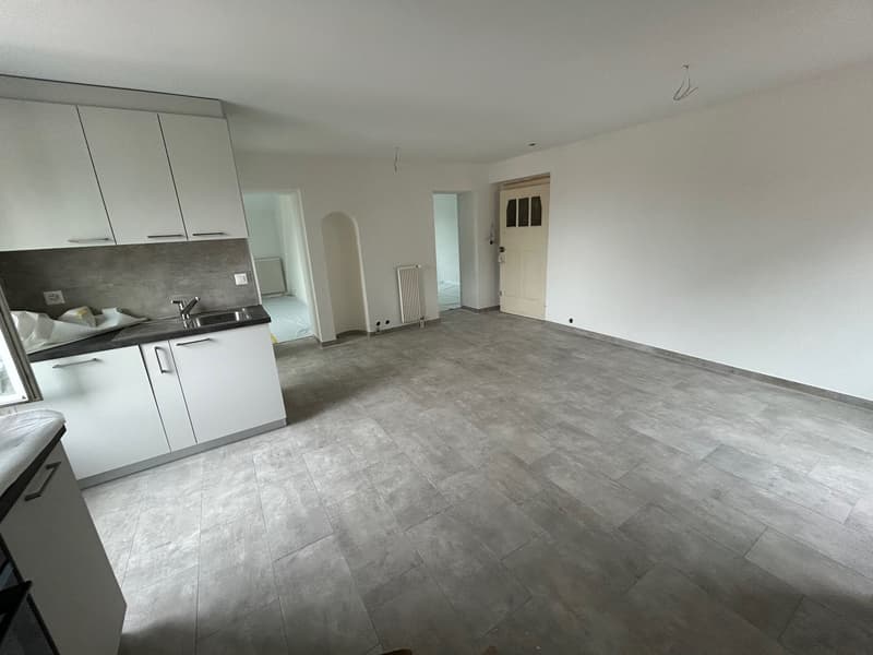 Apartment with 3.5 rooms completely renovated (5)