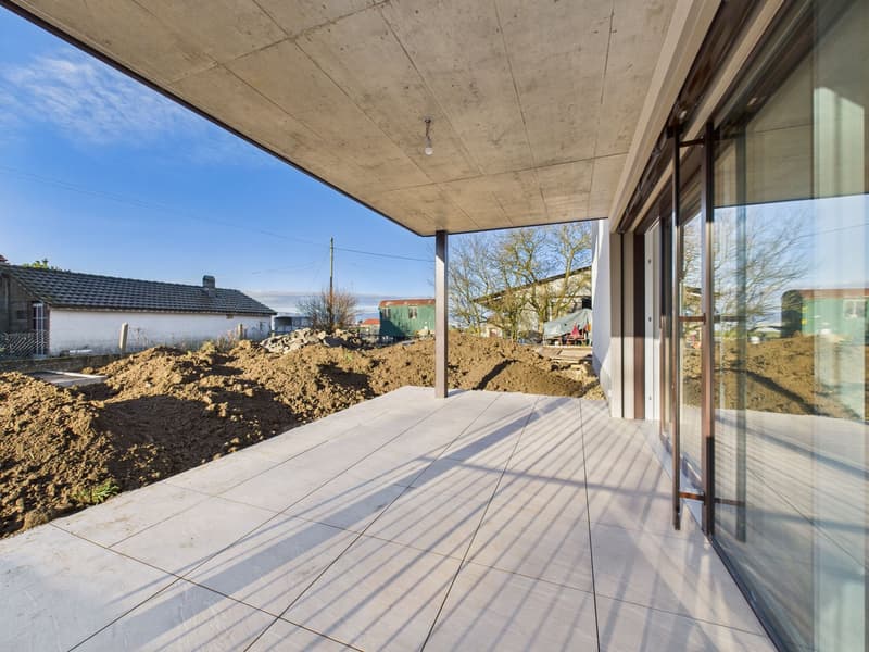 Modern house with glass walls, terrace on the first floor