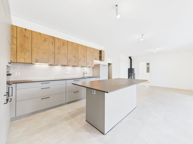 Modern kitchen with white tiles, wooden cabinets, central island, fireplace