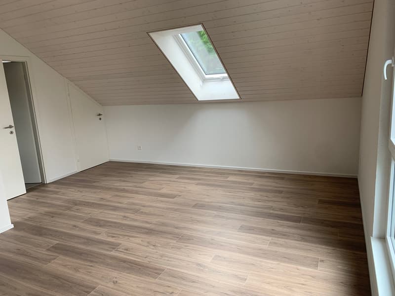 empty room, wooden floor, attic skylight, white walls