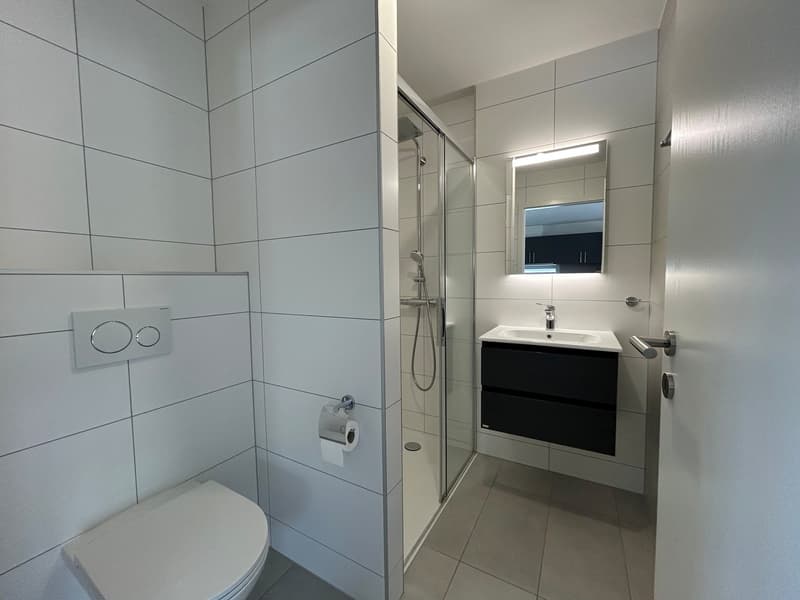 Magnificent 5.5-room villa with garages in Vallorbe (15)