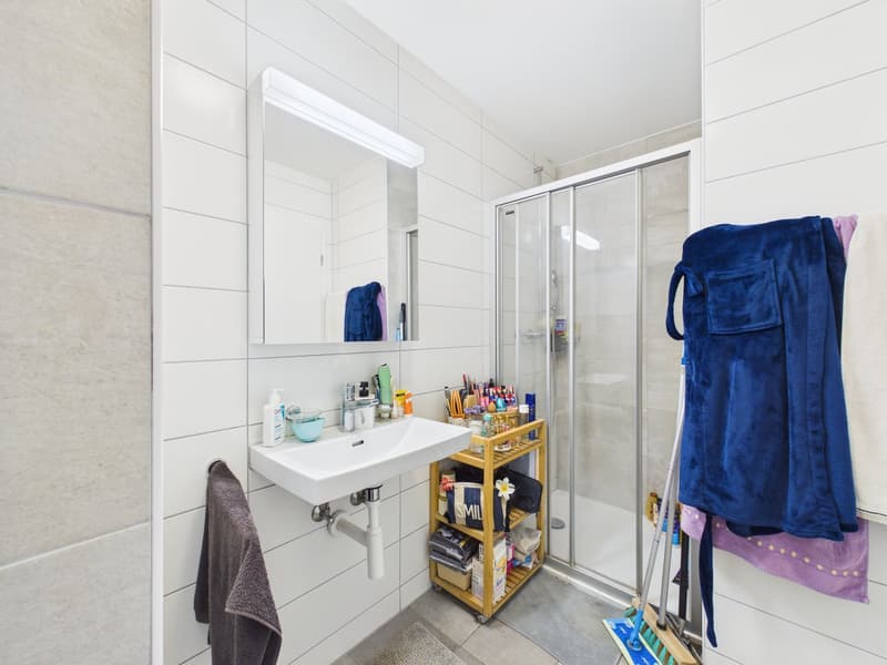 Tiled walls, white porcelain sink, shower stall, shelves, white tiled floor, towel rack, vanity mirror