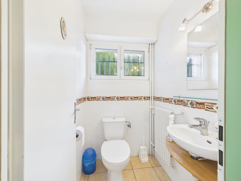 Geräumige 3,5-Zimmer-Villa mit atemberaubendem Blick in Villars-Burquin (16)