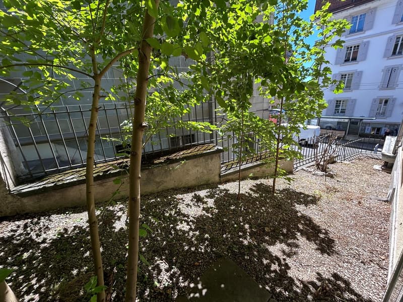 Appartamento di due e mezzo locali con terrazza (7)