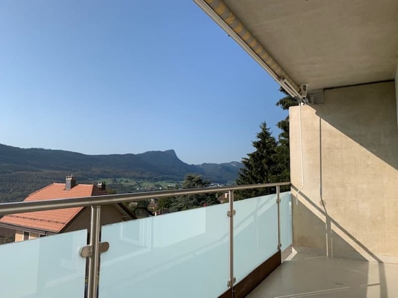 Appartement 2 pièces complètement rénové avec balcon (2)