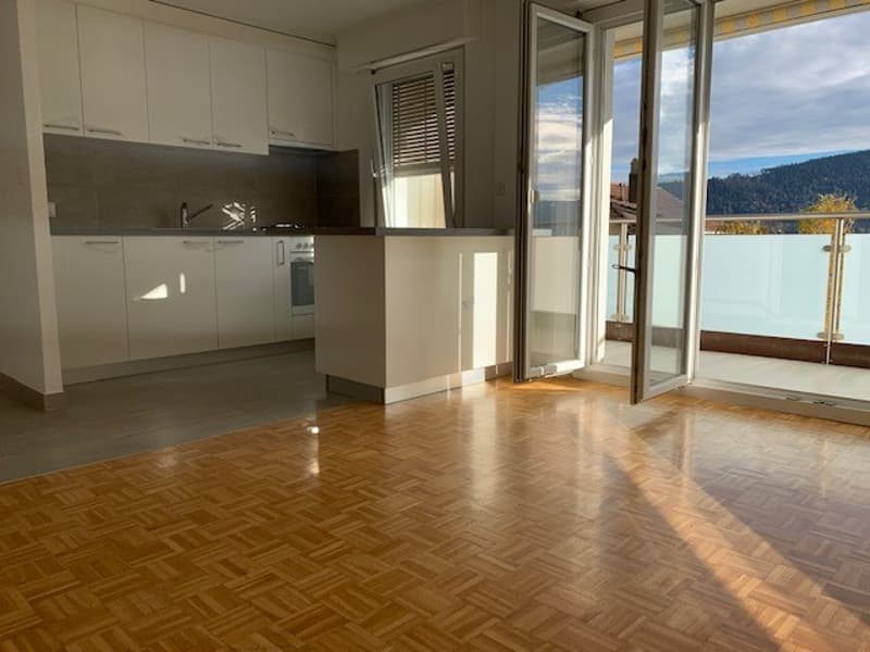 Appartement 2 pièces complètement rénové avec balcon (4)